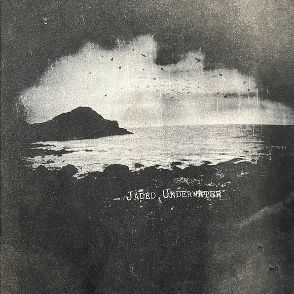 EUC Jared Underwater Isolated Island long sleeve T-shirt size Large - Picture 3 of 10